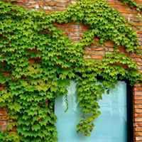 冲散了心丶头像