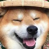 姚爱咪头像