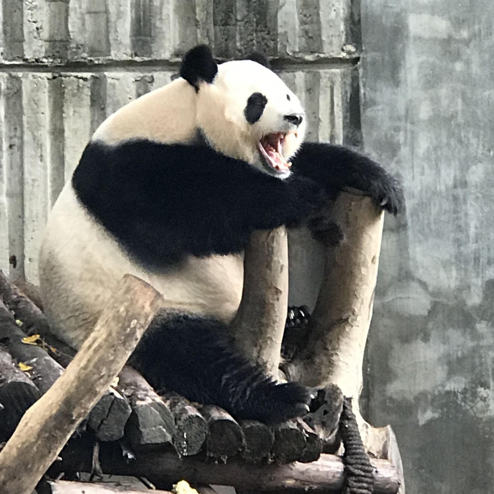 变电检修工头像