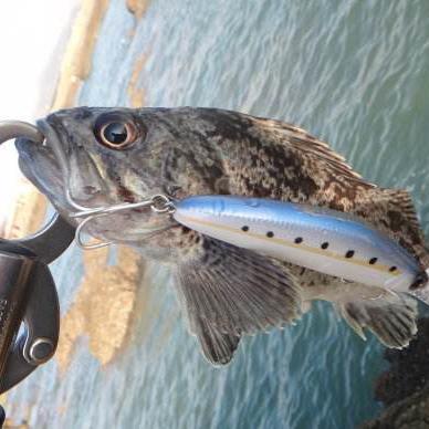 海边垂钓美食家头像