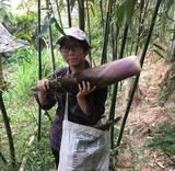 厦门顺木头像