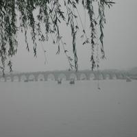 勇敢的芒果Zht头像