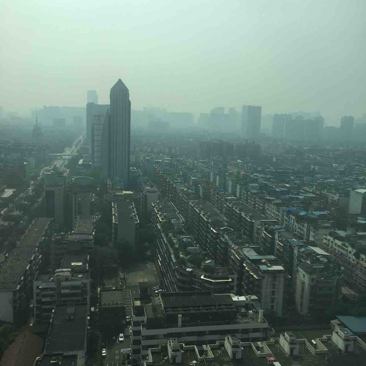 摄影技术指导交流头像
