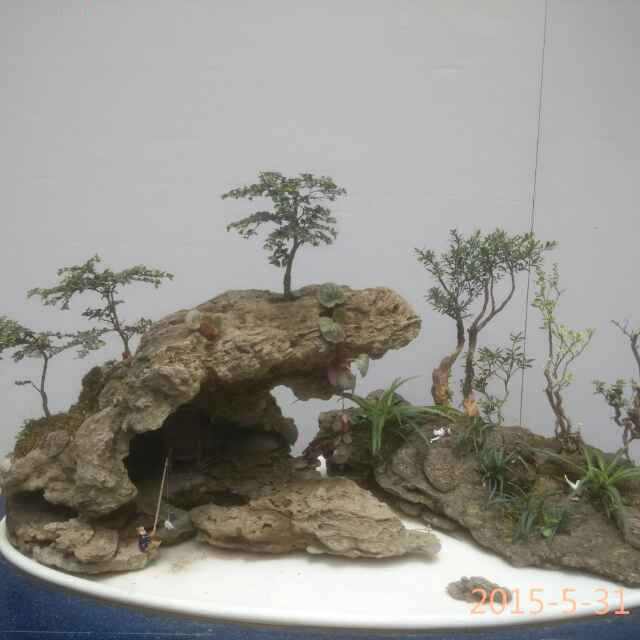 yjg16255176483头像