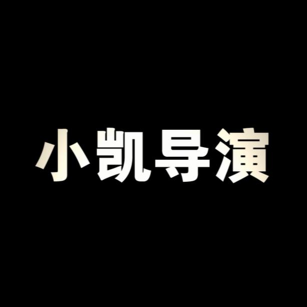 小凯导演头像