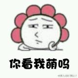 木木901225头像