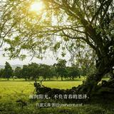 vgvu70pro头像