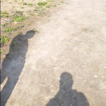 晓逸和你看头像