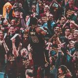 搬运工潇洒头像