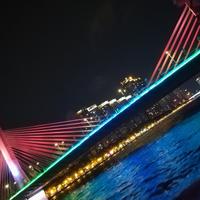 风忘尘635头像