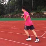 轻轻的枫叶飘过头像