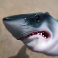 鲨鱼男孩阿要头像