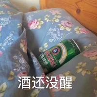 我酒还没醒头像