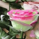 爱上花的美头像