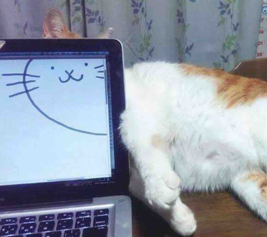 TimMii头像