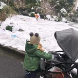 fcc211头像