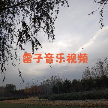 雷子音乐视频头像