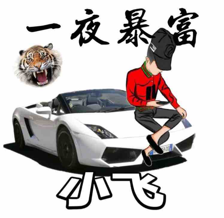 13648705855头像