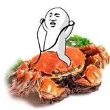 乐乐和小石头头像