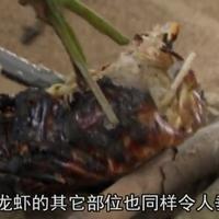 笑看舔狗头像