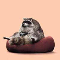 用户901239265311485头像