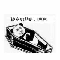 娱乐众宝头像
