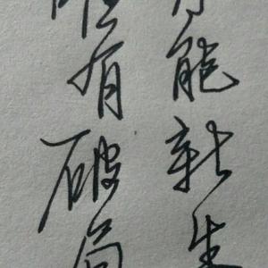 小禾枝月头像