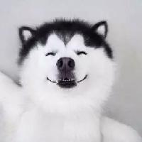 小七不会飞头像