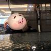 用户6379512088715头像
