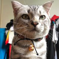 趣事收割机头像