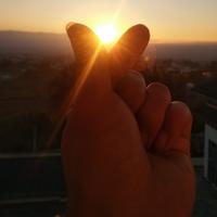 腼腆的老段头像