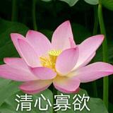 最美时光静好头像