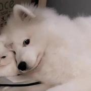 猜拳没赢过的个人资料头像