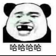 1213213213的个人资料头像