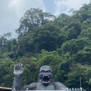 AquSpring的个人资料头像