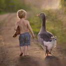 yixiuge101的个人资料头像