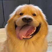 想不出什么好名字的个人资料头像