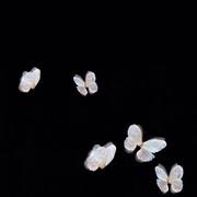 MiManchi470的个人资料头像