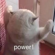 Summer817的个人资料头像