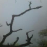 回归007的个人资料头像