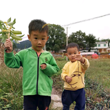 V不高不帅不是富二代头像