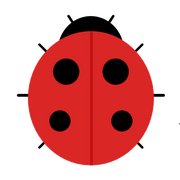 nobuglady的个人资料头像