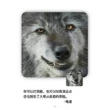 天才第一步雀氏要侧漏头像