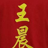 王晨健康快车头像