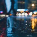 花椒君的个人资料头像