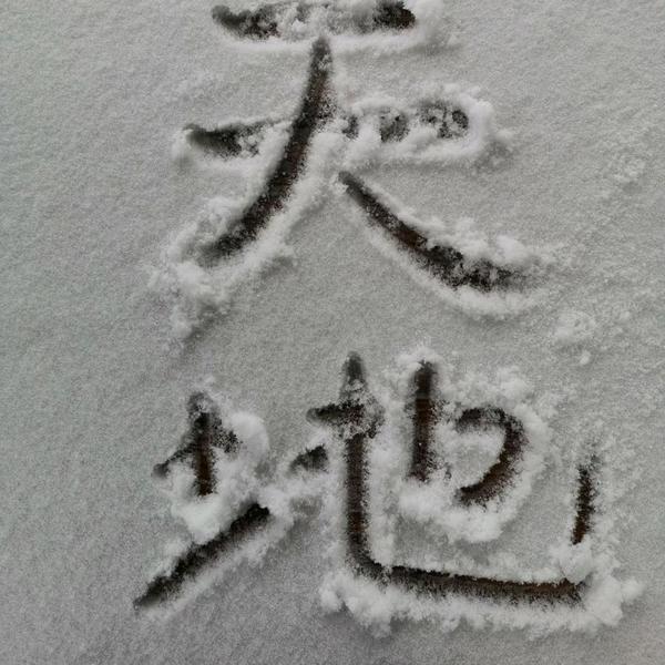 波罗凡揭谛头像