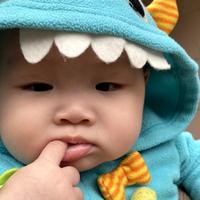 群山望海头像