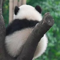 陪你看世界A头像
