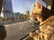 LACG5的个人资料头像