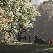 啷个代码的个人资料头像